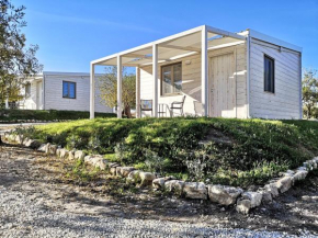 Mennuli&Alivi - Organic Farm Noto